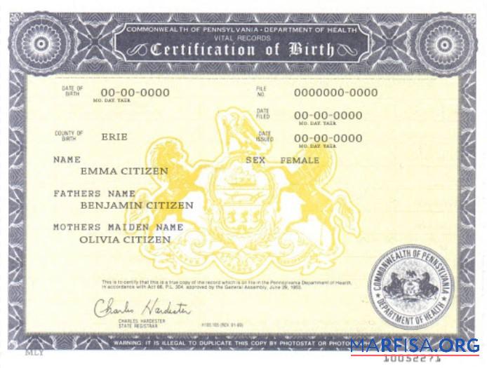 Realistic USA Pennsylvania birth cert template